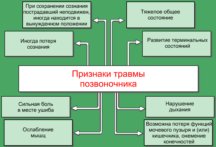 Признаки перелома позвоночника