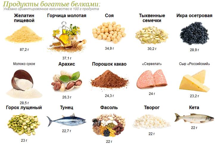 Продукты, богатые белками