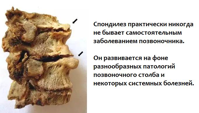 Провоцирующие факторы