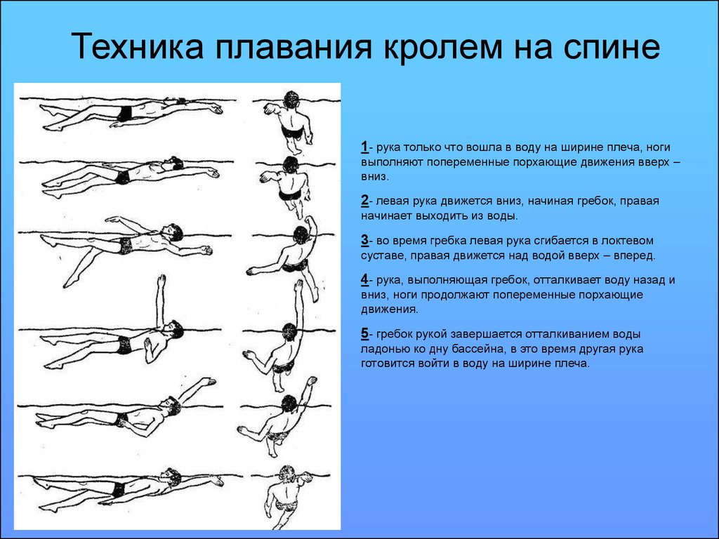 Техника плавания кролем на спине
