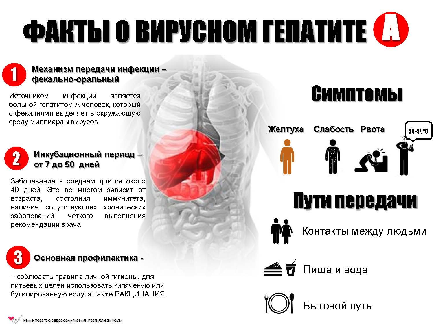 Все о гепатите А